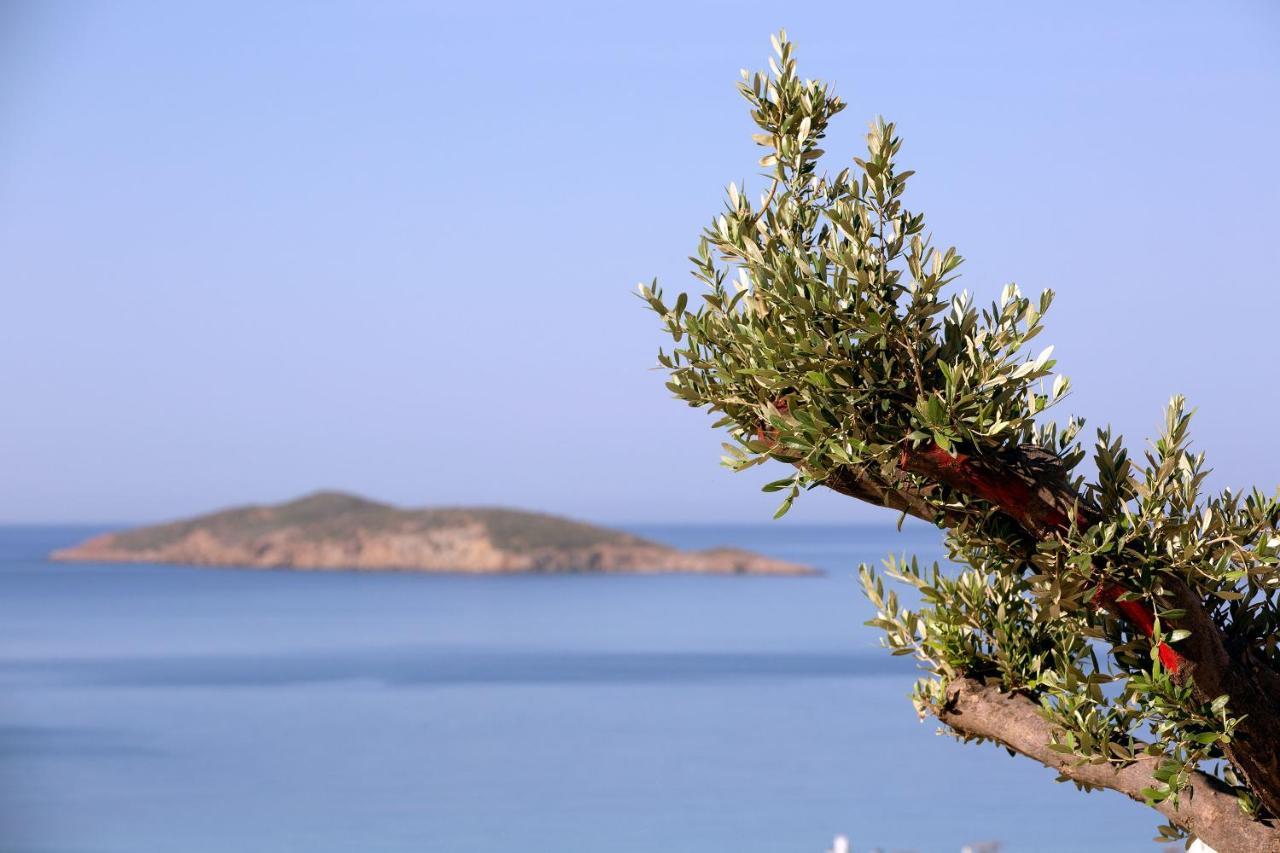 Elia Privileged Suites Andros Ανδροσ Exterior foto